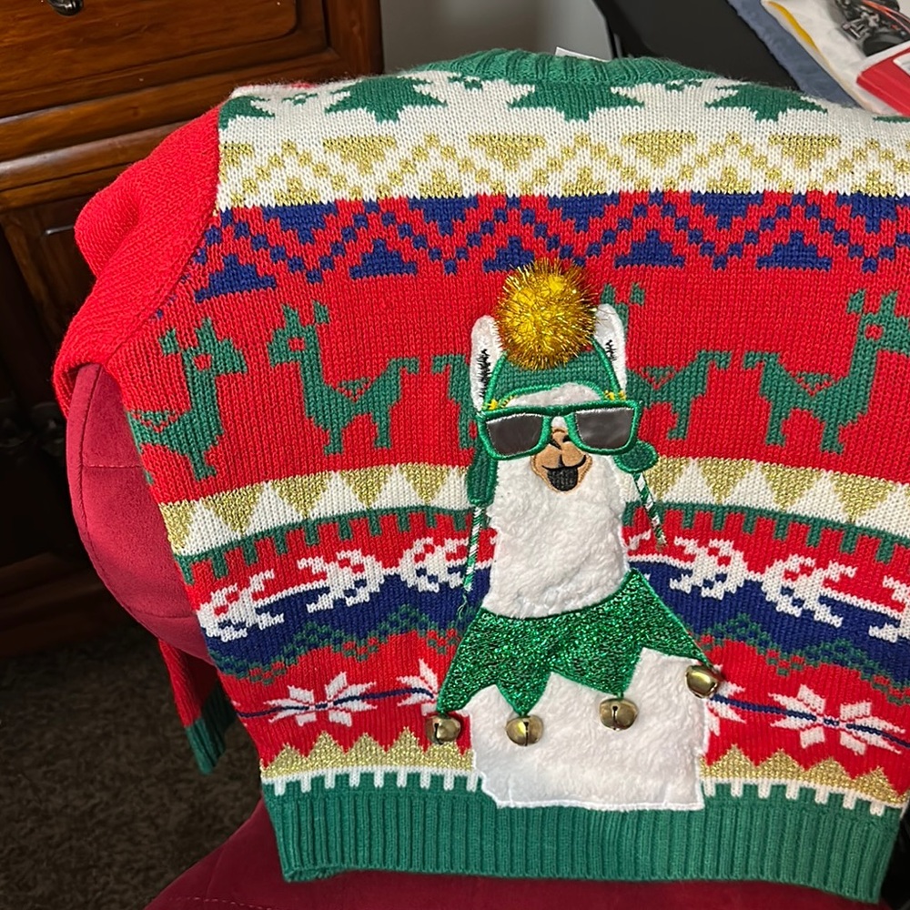 Holiday Time Red and Green Festive Vest